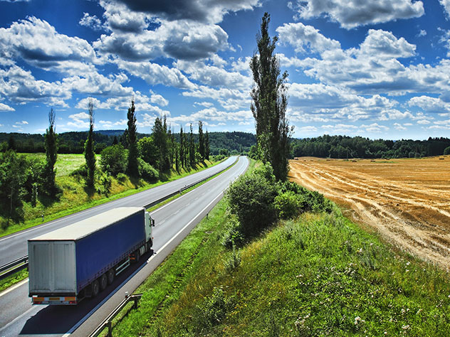 FTL/LTL pilni, daliniai kroviniai kelių transportu